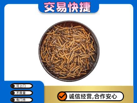 岳阳市湘阴高价回收散虫草